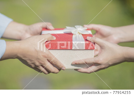77914255
