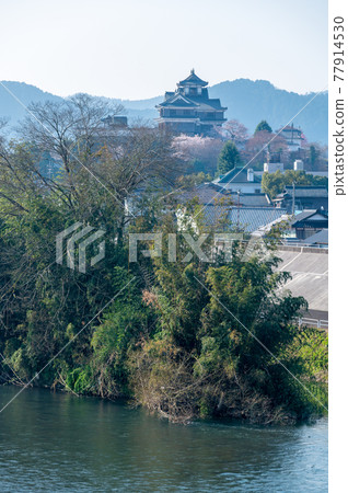 Fukuchiyama Castle, Fukuchiyama City, Kyoto 77914530