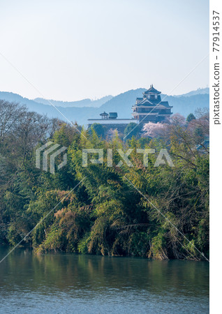 Fukuchiyama Castle, Fukuchiyama City, Kyoto 77914537