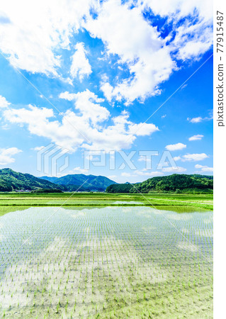 兵庫縣丹波笹山的田園風光 77915487