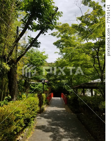 Shuzenji blue sky trip Shuzenji blue sky trip 77916141