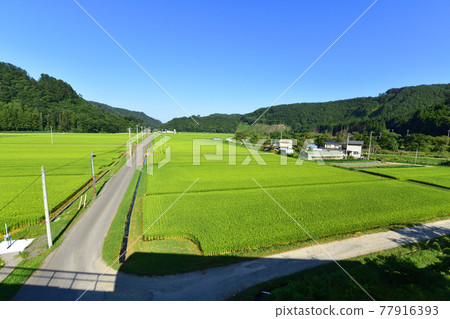 Scenery from the train window between Miyako Station and Fudai Station on the Sanriku Railway in the summer of 2020 77916393