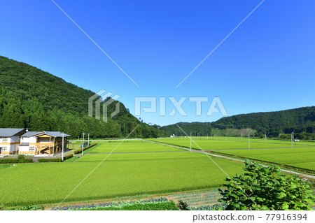Scenery from the train window between Miyako Station and Fudai Station on the Sanriku Railway in the summer of 2020 Scenery from the train window between Miyako Station and Fudai Station on the Sanriku Railway in the summer of 2020 77916394
