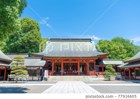 Fujisaki Hachimangu (Fujisaki Hachimangu) Kumamoto City, Kumamoto Prefecture 77916605