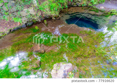 忍野村夏天的風景[山梨縣] 77916620
