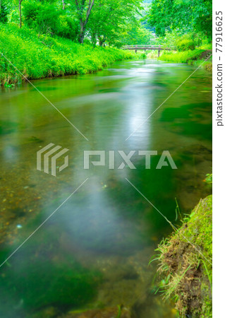 忍野村夏天的風景[山梨縣] 77916625
