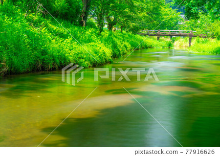 Scenery of Oshino Village in summer [Yamanashi Prefecture] 77916626
