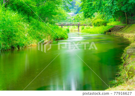 忍野村夏天的風景[山梨縣] 77916627