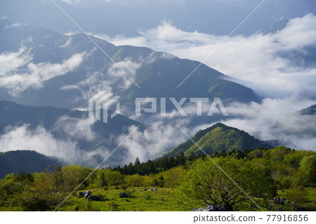 Shikoku Karst Plateau and Seiyo Mountains Shikoku Karst Plateau and Seiyo Mountains 77916856