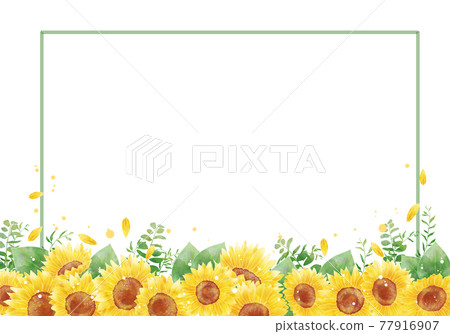 Sunflower and green frame 77916907