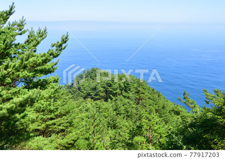 2020年夏天岩手縣北山崎市及周邊的景色 77917203