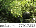 夏天的山谷 77917832