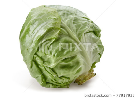 Whole, white-headed cabbage isolated on white background. Smooth-leafed vegetable, ripe harvest. Close up, copy space 77917935
