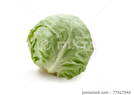 Raw, light green cabbage isolated on white background. Smooth-leafed vegetable, fresh harvest. Close up, copy space 77917940