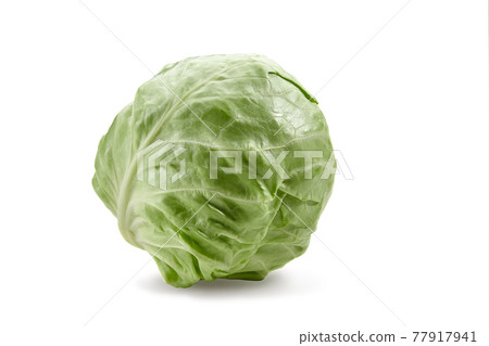 White-headed cabbage isolated on white background. Smooth-leafed vegetable, fresh harvest. Close up, copy space 77917941