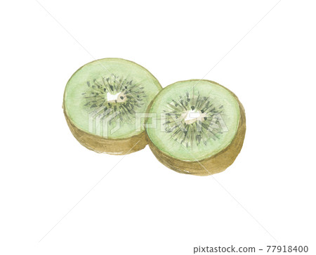 獼猴桃橫截面 獼猴桃橫截面 77918400