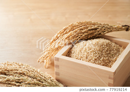 糙米在浴室服務 77919214