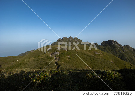 《Yakushima, Kagoshima Prefecture》 Nagatadake and Yakino Three-way Junction 77919320