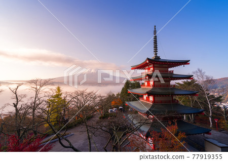 Rare scene of Chureito pagoda and Mount Fuji with morning fog, Japan in autumn Rare scene of Chureito pagoda and Mount Fuji with morning fog, Japan in autumn 77919355