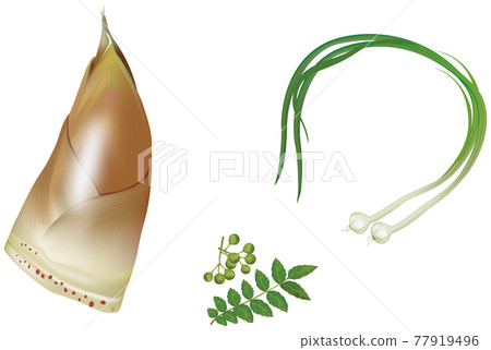 蔬菜插畫_竹筍_sansho_nobile 蔬菜插畫_竹筍_sansho_nobile 77919496