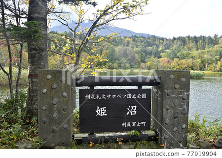 Himenuma in autumn from Himenuma Expedition Road Himenuma in autumn from Himenuma Expedition Road 77919904
