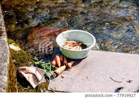 用河水沖洗蔬菜的田園風光 用河水沖洗蔬菜的田園風光 77919927