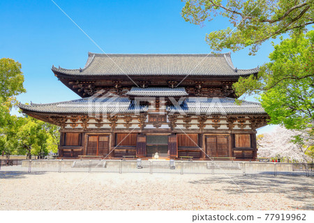 京都東寺春景 京都東寺春景 77919962