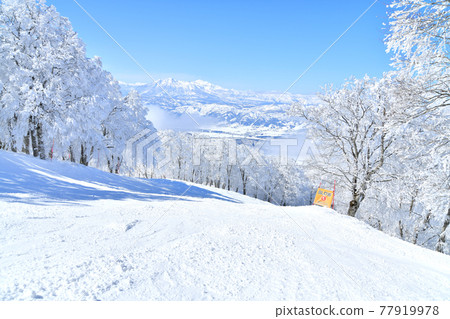 從野澤溫泉滑雪場/山之子E路線（長野縣野澤溫泉村）看妙高山[2021.2] 77919978
