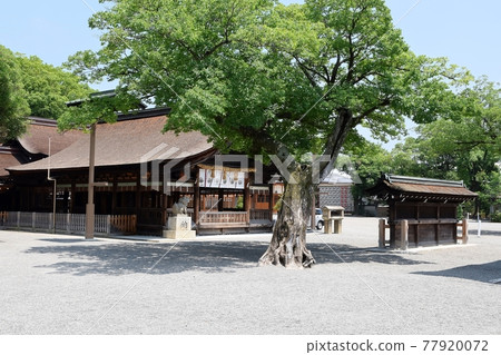 稻澤市K府神社 77920072