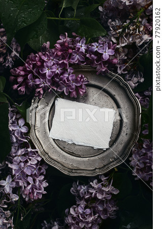 Moody spring wedding stationery mockup scene. Blank greeting card, invitation on vintage silver plate. Purple lilacs flowers and rain drops. Blooming Syringa bush in the garden. Vertical flat lay, top 77920162