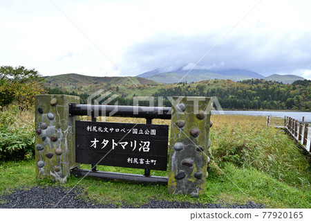 隱藏在雲中的大田泊沼澤和利尻山 隱藏在雲中的大田泊沼澤和利尻山 77920165