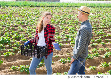 Farmer young man and woman communicate in the field 77920195