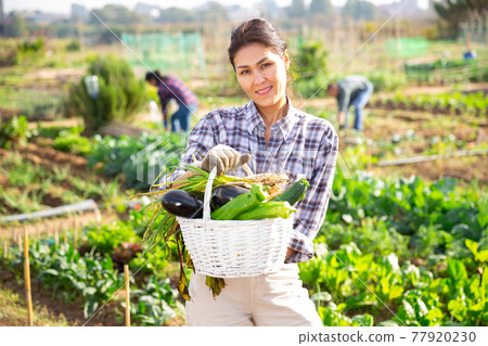 Positive woman harvesting in her garden with other people in background 77920230