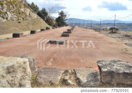 續岐阜縣苗木城日本城跡100強 77920591