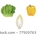 蔬菜插圖_沙拉蔬菜_菊苣_辣椒粉 77920763