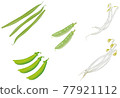 蔬菜插畫_青豆_豌豆_蠶豆_豆芽_豆芽 77921112