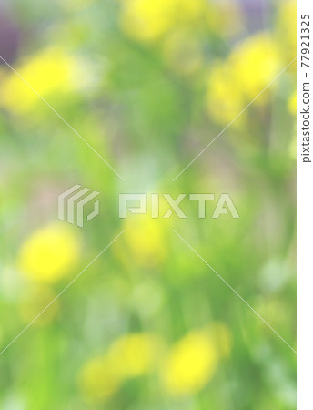 強姦開花背景 強姦開花背景 77921325
