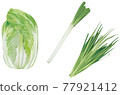 蔬菜插畫_大白菜_白洋蔥_大蒜 77921412