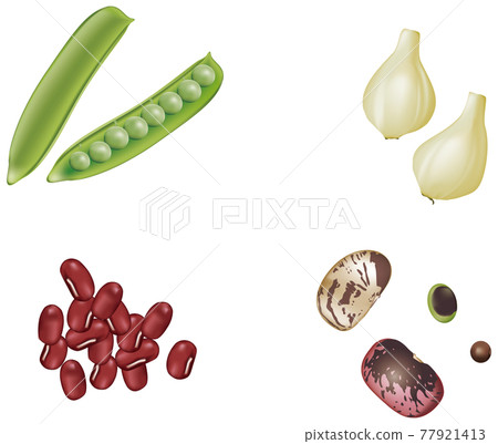 Vegetable illustration _ green peas _ scallions _ red beans _ flower beans _ beans 77921413
