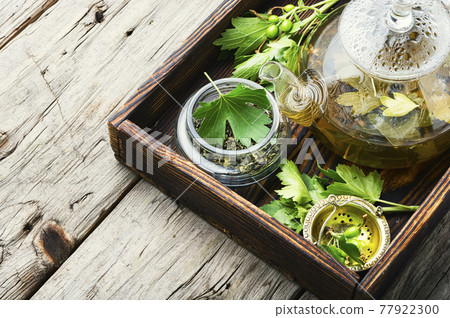 Healing tea with currant leaves 77922300