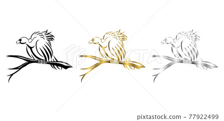Vector Line Art Illustration of a vulture three color balck gold silver It is perching on a dead tree to wait for the victim 77922499