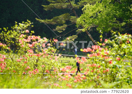 Kurozo Marsh Hiker Kurozo Marsh Hiker 77922620
