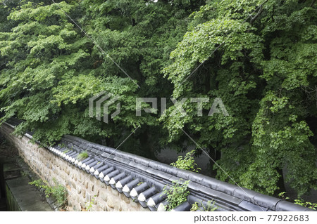 Greenery beyond the wall seen from the grounds of Seonunsa Temple in Gochang-gun 77922683