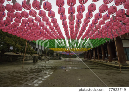 Lanterns at Naeso Temple in Buan, Jeollabuk-do Lanterns at Naeso Temple in Buan, Jeollabuk-do 77922749