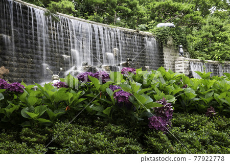 Artificial waterfall in Hampyeong Natural Ecological Park 77922778