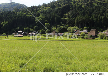 美山茅草村古民居風光【京都府】 美山茅草村古民居風光【京都府】 77923000