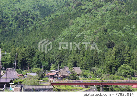 美山茅草村古民居風光【京都府】 77923014