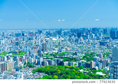 東京風景建築和東京灣 77923630