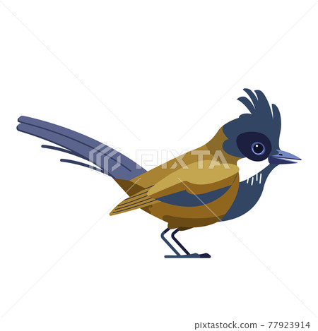 Dartford warbler birds is a typical warbler from the warmer parts of western Europe. Scientific name Curruca UNdata. Cartoon flat style beautiful character of ornithology, vector illustration Dartford warbler birds is a typical warbler from the warmer parts of western Europe. Scientific name Curruca UNdata. Cartoon flat style beautiful character of ornithology, vector illustration 77923914