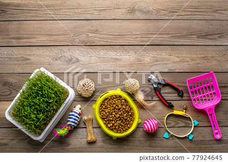 Dry food in bowl, spatula, nail scissors, grass, collar, balls, bones on wooden background Top view Flat lay Toys, accessories and food for your beloved pet concept 77924645
